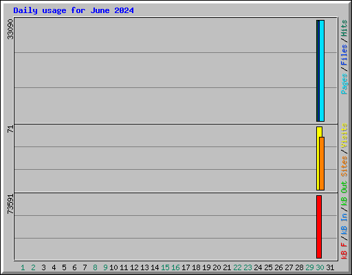 Daily usage for June 2024