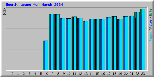 Hourly usage for March 2024