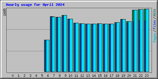 Hourly usage for April 2024