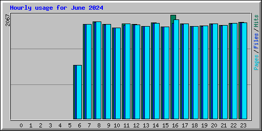 Hourly usage for June 2024