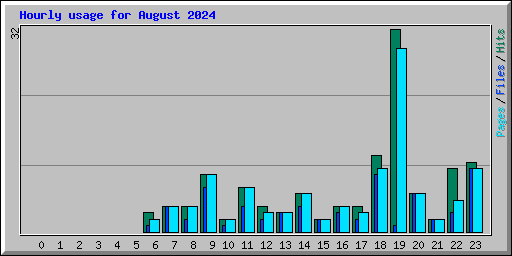 Hourly usage for August 2024