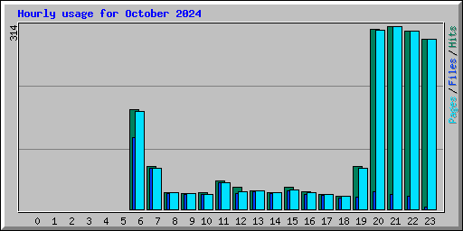 Hourly usage for October 2024