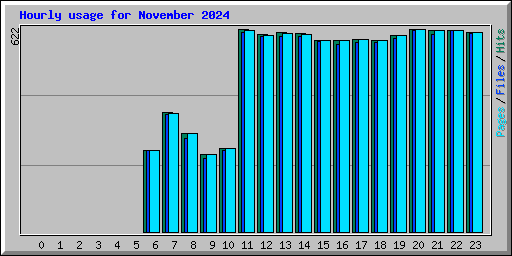 Hourly usage for November 2024