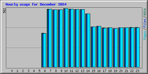 Hourly usage for December 2024