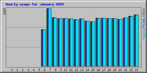 Hourly usage for January 2025