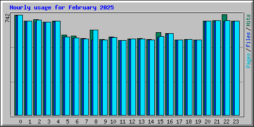 Hourly usage for February 2025