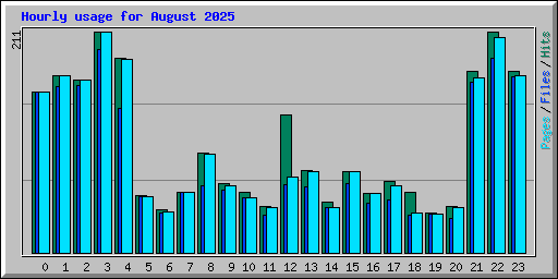 Hourly usage for August 2025