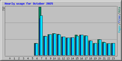 Hourly usage for October 2025