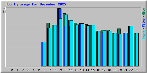 Hourly usage for December 2025