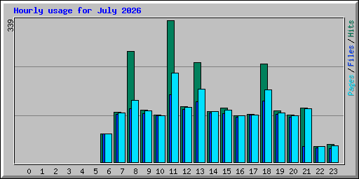 Hourly usage for July 2026