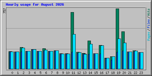 Hourly usage for August 2026